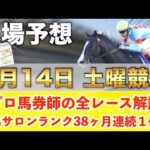 【9月14日土曜競馬予想】想定12番人気62倍の爆穴が降臨‼️プロが平場全レース予想を無料公開！【平場予想】