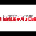 9月3日川崎競馬【全レース予想】2024スパーキングナイトチャレンジ