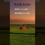 【競馬豆知識】京成杯AH開催コース 中山競馬場芝1600mコースの特徴を解説！ #競馬 #中山競馬場 #競馬予想 #血統 #傾向 #京成杯AH #血統予想 #傾向