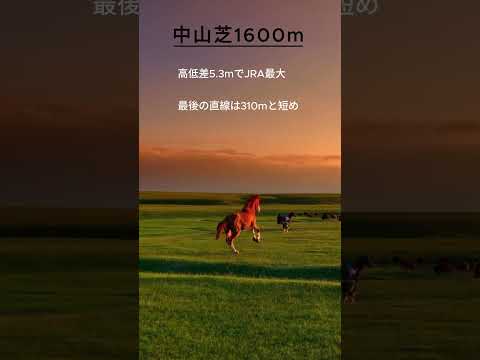 【競馬豆知識】京成杯AH開催コース 中山競馬場芝1600mコースの特徴を解説！ #競馬 #中山競馬場 #競馬予想 #血統 #傾向 #京成杯AH #血統予想 #傾向