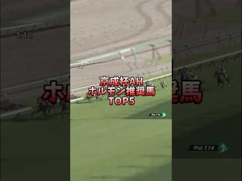 【競馬予想】京成杯AH2024 ホルモン推奨馬 #競馬 #京成杯オータムハンデ  #星野ルビー