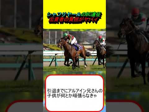 シャフリヤールのBC遠征、出資者の負担がヤバイ #競馬 #競馬予想 #サンデーレーシング #ノーザンファーム #アルアイン #ドバイシーマC #BCターフ #一口馬主 #藤原厩舎 #出資馬