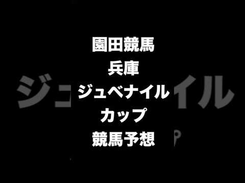 #競馬予想 #兵庫ジュベナイルカップ #兵庫ジュベナイルC #競馬 #地方競馬  #園田競馬 #shorts