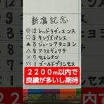 新潟記念予想　#新潟記念　#中央競馬　#競馬予想 　#JRA