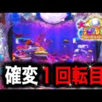 【P大海物語5】実践動画！確変1回転目に注目‼️(編集部ビル君実践動画2024/09/03）