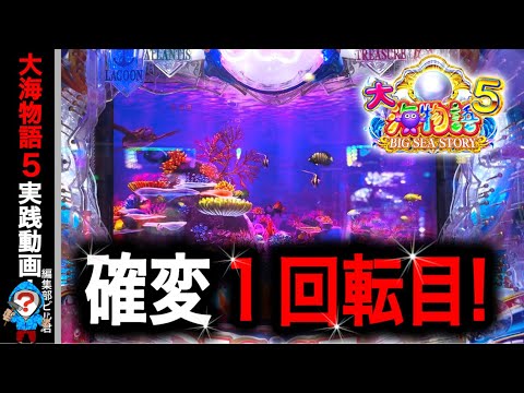 【P大海物語5】実践動画！確変1回転目に注目‼️(編集部ビル君実践動画2024/09/03）