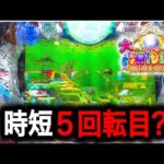 【P大海物語5】実践動画！閉店まで大爆連⁉️(編集部ビル君実践動画2024/09/11,12）