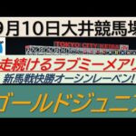 【競馬予想】SⅢゴールドジュニア！～２０２４年９月１０日 大井競馬場 ：９－１９