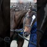 【ローズS】クイーンズウォークがヤバすぎる【競馬】#競馬 #競馬予想 #クイーンズウォーク #ローズステークス