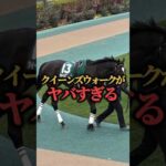 【競馬予想】ローズS出走予定のクイーンズウォークがヤバすぎる#競馬#競馬予想#ローズステークス#クイーンズウォーク