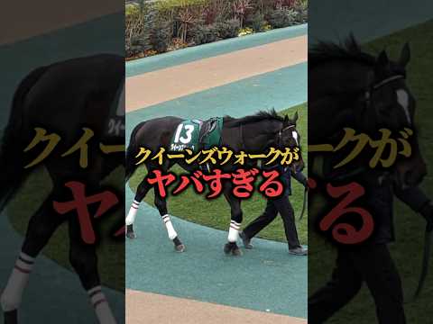 【競馬予想】ローズS出走予定のクイーンズウォークがヤバすぎる#競馬#競馬予想#ローズステークス#クイーンズウォーク