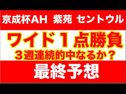 【競馬予想】２０２４紫苑S　京成杯AH　セントウルS 最終予想