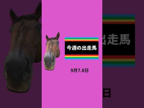 #今週の下河辺産 #下河辺shorts #下河辺牧場 #馬 #競馬 #競馬予想 声:音声さん