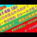 【競馬予想】競馬波乱予報　９月１４日（土）　中央競馬＆地方競馬　全レース予想！