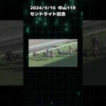 セントライト記念　もちおの当たらない予想　#競馬　#競馬予想 #セントライト記念