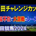 園田チャレンジカップ２０２４【園田競馬予想】タイガーインディ不在で大混戦！？