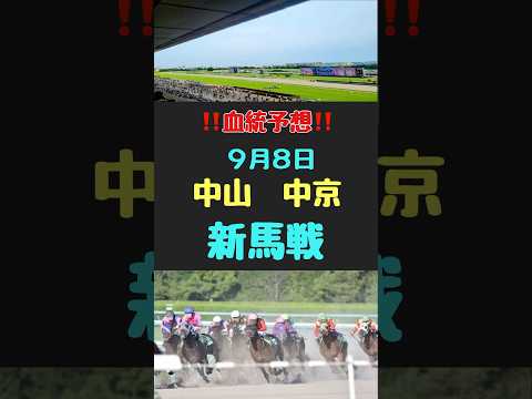 #競馬 #競馬予想 #競馬血統 #競馬女子 #血統予想 #新馬戦　#中京　#中山