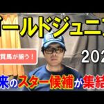 ゴールドジュニア２０２４【大井競馬予想】未来のクラシック候補の馬が現れるのか？