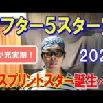 アフター５スター賞２０２４【大井競馬予想】今年は大混戦も軸を決めて勝負！？