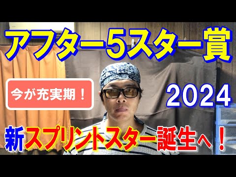 アフター５スター賞２０２４【大井競馬予想】今年は大混戦も軸を決めて勝負！？